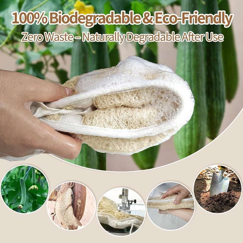 KASTWAVE Natural Egyptian Loofah Body Scrubber and Back Scrubber, 100% Real Luffa Sponge for Deep Exfoliating Cleansing, Rich Lather, Quick Drying, for Men and Women, Ideal for Shower and Bath Use (1-Pack) - Image 5