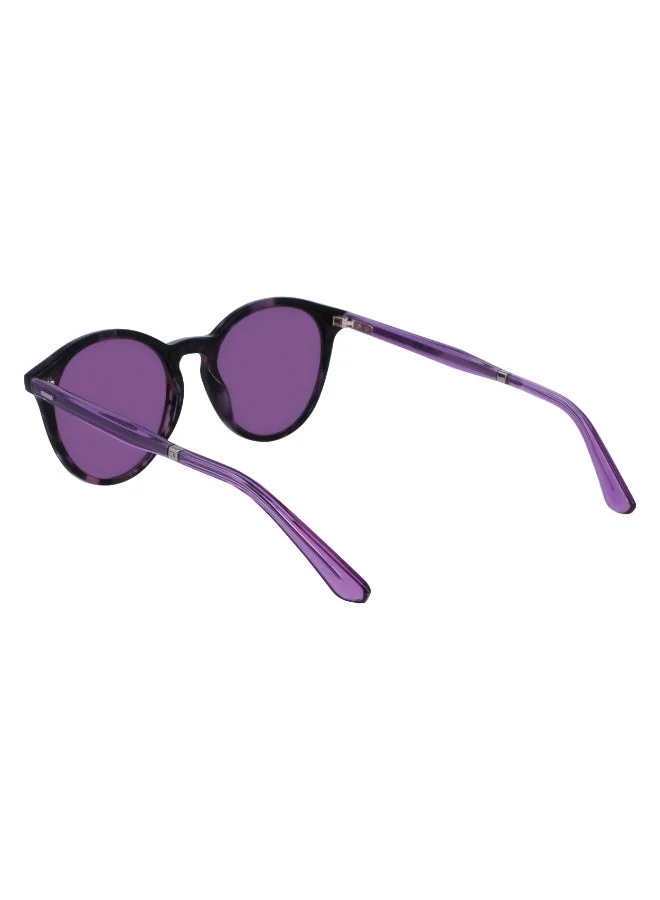 CALVIN KLEIN  FULL RIM ACETATE CALVIN KLEIN SUN CK23510S for Men | Best Price UAE