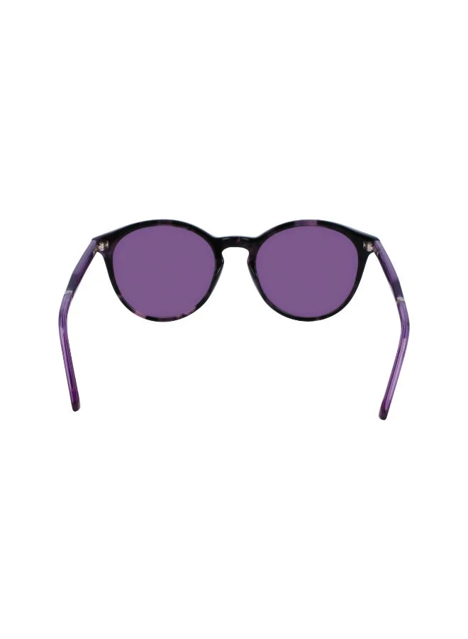 CALVIN KLEIN  FULL RIM ACETATE CALVIN KLEIN SUN CK23510S for Men | Best Price UAE