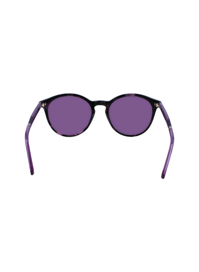 CALVIN KLEIN FULL RIM ACETATE CALVIN KLEIN SUN CK23510S - Image 4