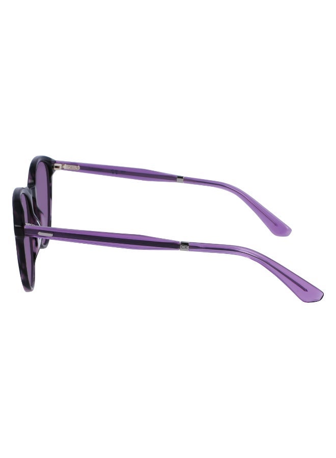 CALVIN KLEIN FULL RIM ACETATE CALVIN KLEIN SUN CK23510S - Image 2