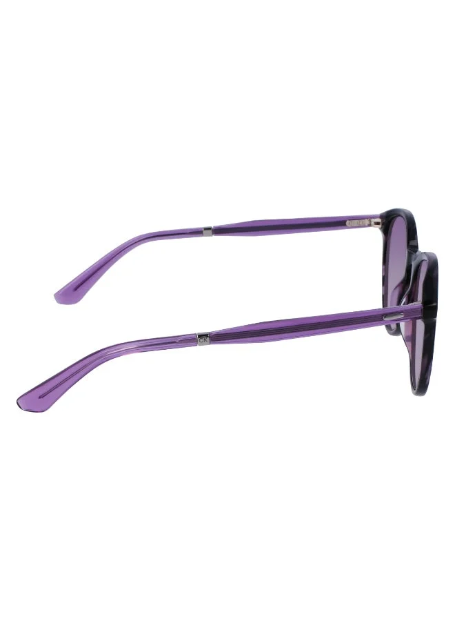 CALVIN KLEIN  FULL RIM ACETATE CALVIN KLEIN SUN CK23510S for Men | Best Price UAE