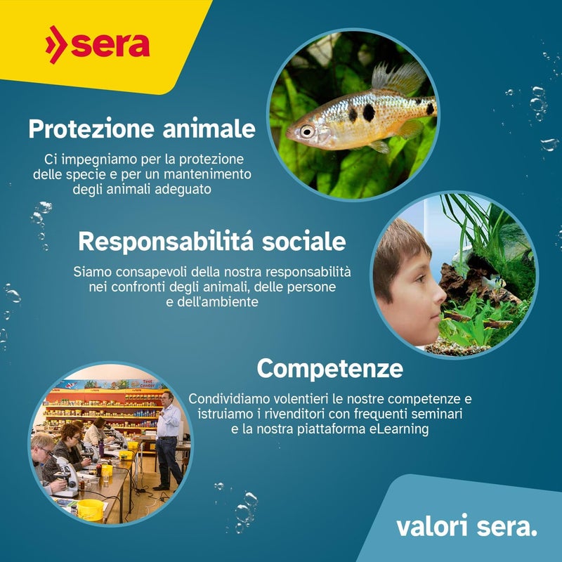 Sera Koi Color Large Fish Food - 3.800 ml (2.2 lb) for Large Koi - Image 5