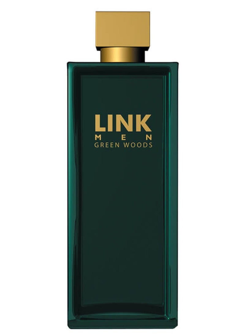 لينك - عطر لينك جرين وودز 150 مل - Image 1