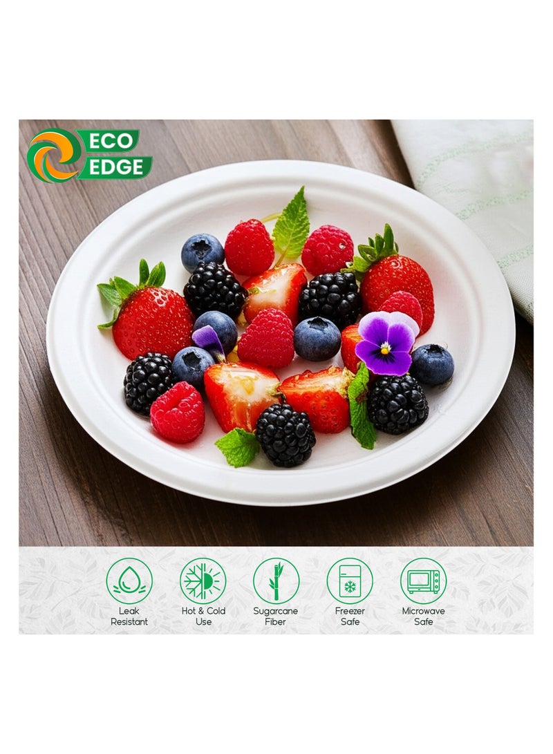 EcoEdge EcoEdge 10 Inch Round White Disposable Sugarcane Pulp Plates (Pack of 10) | Sustainable, Eco-Friendly, Biodegradable, No Toxins | Plastic Free, Multipurpose, Rustic Texture, Durable | 100% Organic  - Image 5