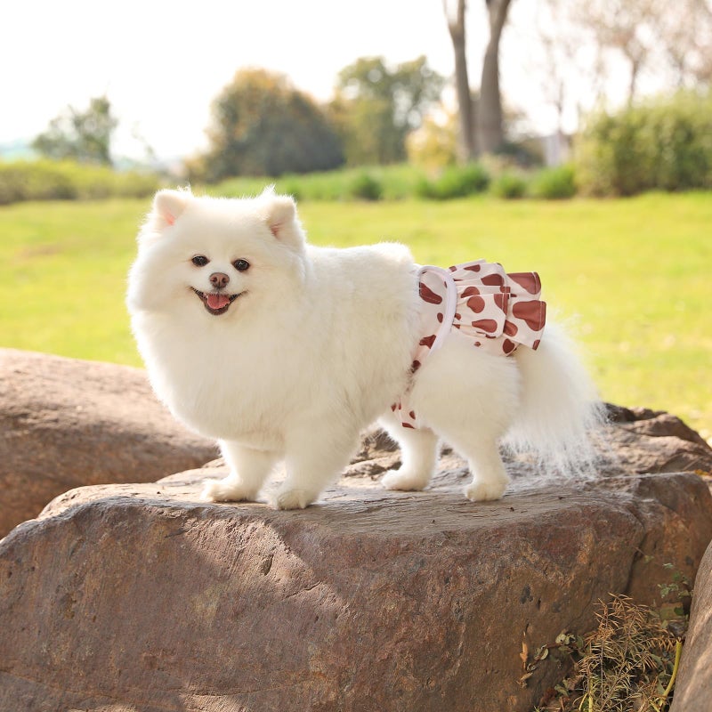 Mengelina Reusable Dog Diapers Female 3 Pack Doggie Diapers for Period Heat Incontinence Puppy Training (Medium, Animal Print) - Image 5