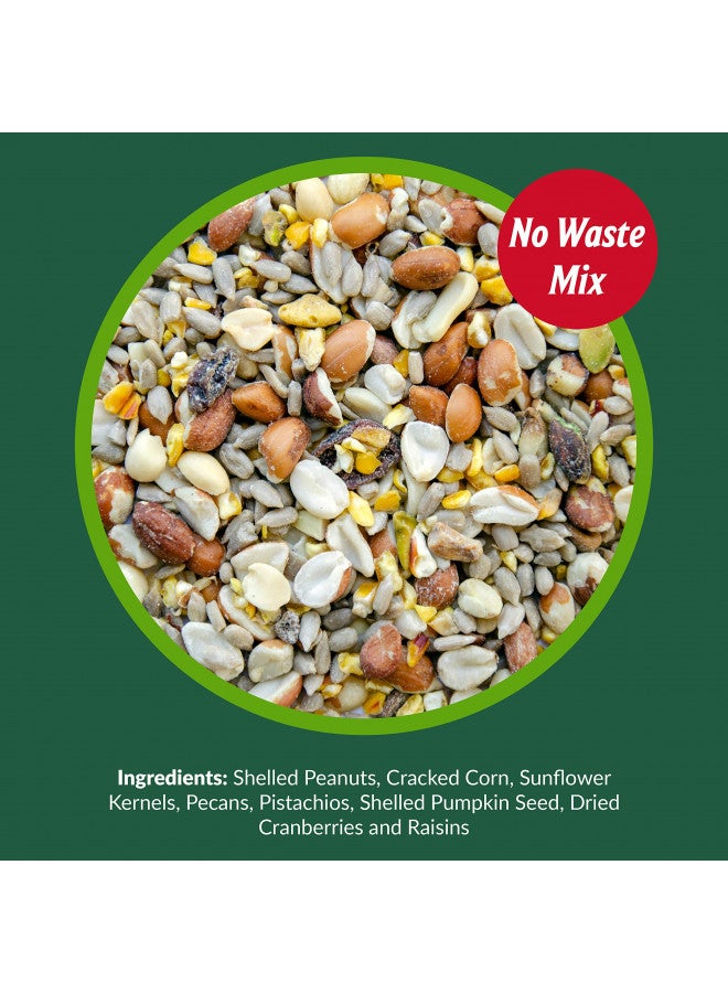 Lyric Woodpecker Wild Bird Seed, No Waste Bird Seed with Nuts, Dried Fruit & Shelled Seeds - 5 lb. Bag - Image 3
