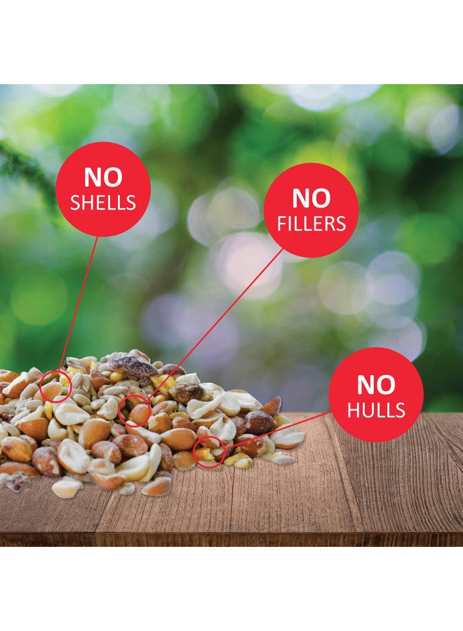 Lyric Woodpecker Wild Bird Seed, No Waste Bird Seed with Nuts, Dried Fruit & Shelled Seeds - 5 lb. Bag - Image 2