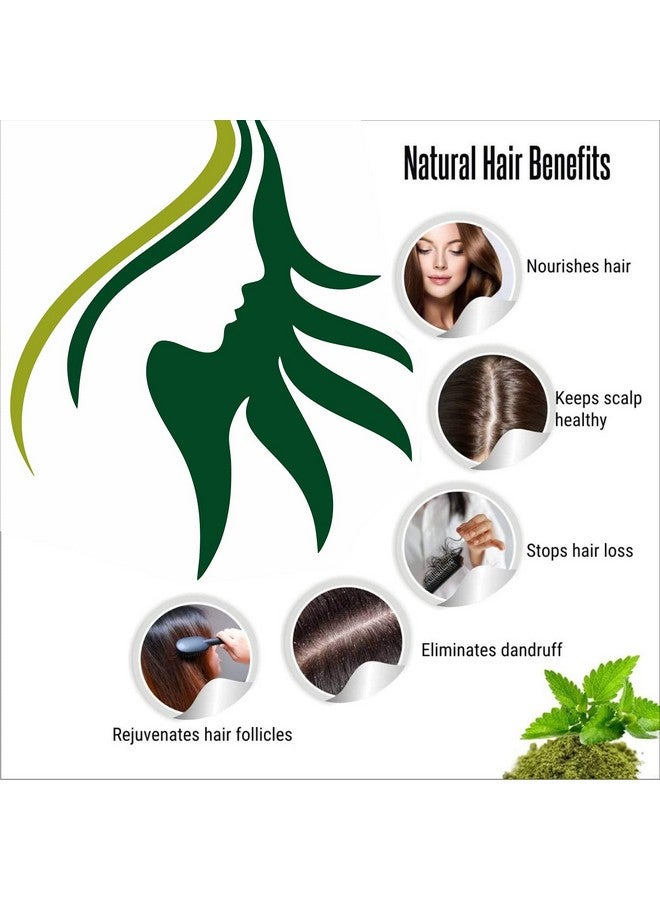Oilanic 100% Pure & Natural Tulsi Powder- For Skin & Hair Combo Pack of 2 Jar (200gm) - Image 4