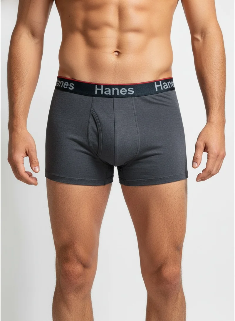 Hanes Hanes Mens Comfort Flex Fit Moisture Wicking Long Leg Boxer Brief Underwear