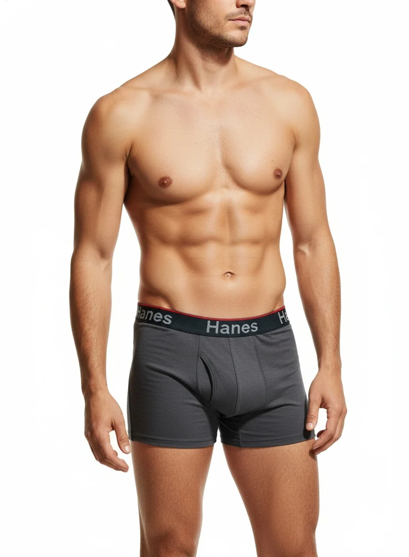Hanes Hanes Mens Comfort Flex Fit Moisture Wicking Long Leg Boxer Brief Underwear