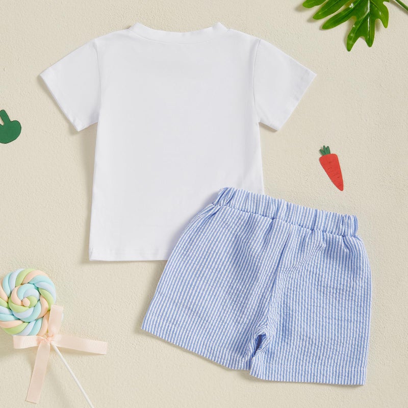 BemeyourBBs Toddler Baby Boy Easter Outfit Graph Short Sleeve T Shirt Elastic Waist Pockets Shorts Set 2 Piece Clothes Truck bunny carrot blue, 2-3T - Image 4