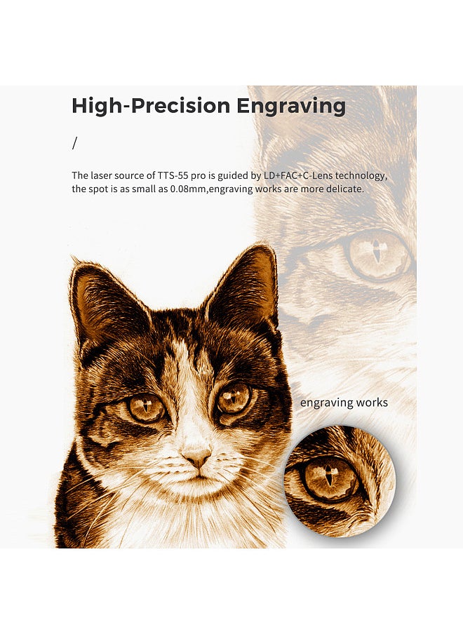 TTS 55 Pro Laser Engraver 5.5W Compressed Spot 30000mm/min High Speed Laser Engraving Cutting Machine 300x300mm with Fast Focus Spot Precision Scale Lines Offline Engraving APP Connection