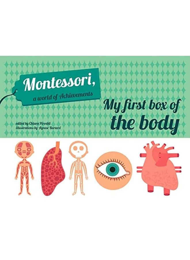 My First Box of the Body - Montessori World of Achievements 