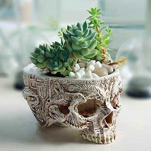 ChezMax Skull Planter Suger Holder Resin Flower Succulents Pot Skeleton Flowerpot Candy Bowl Halloween Dish Statue Sculpture Skeleton Indoor Outdoor Decoration - Image 1
