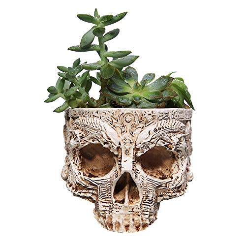 ChezMax Skull Planter Suger Holder Resin Flower Succulents Pot Skeleton Flowerpot Candy Bowl Halloween Dish Statue Sculpture Skeleton Indoor Outdoor Decoration - Image 3