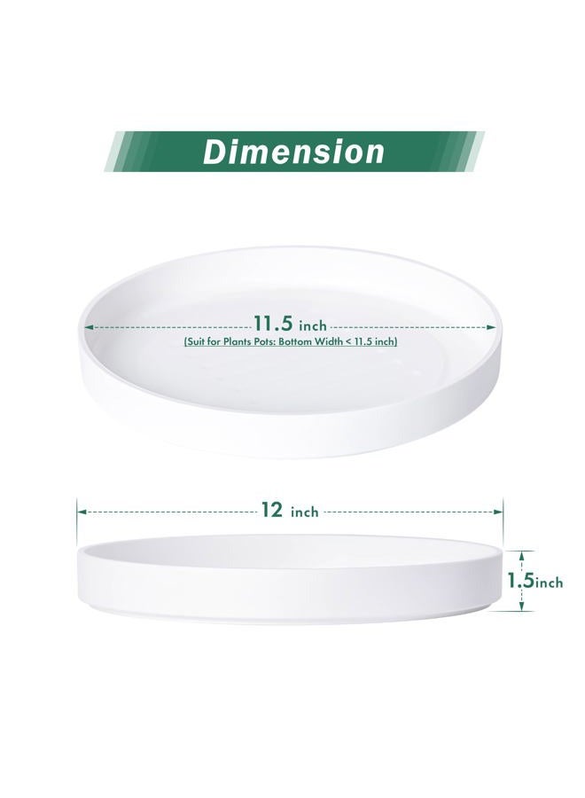 Phoenix Vine 12 Inch Plastic Plant Saucer Water Drip Tray, Heavy Sturdy Round Plant Drainage Tray for Indoors Outdoor, Matte White, 21-TY-12W-1 - Image 2