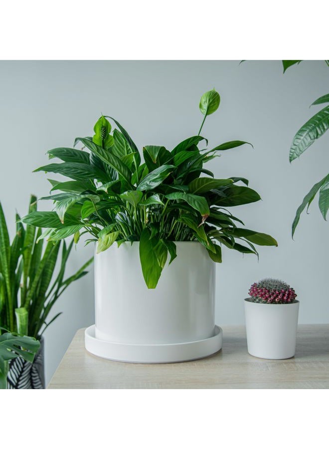 Phoenix Vine 12 Inch Plastic Plant Saucer Water Drip Tray, Heavy Sturdy Round Plant Drainage Tray for Indoors Outdoor, Matte White, 21-TY-12W-1 - Image 5