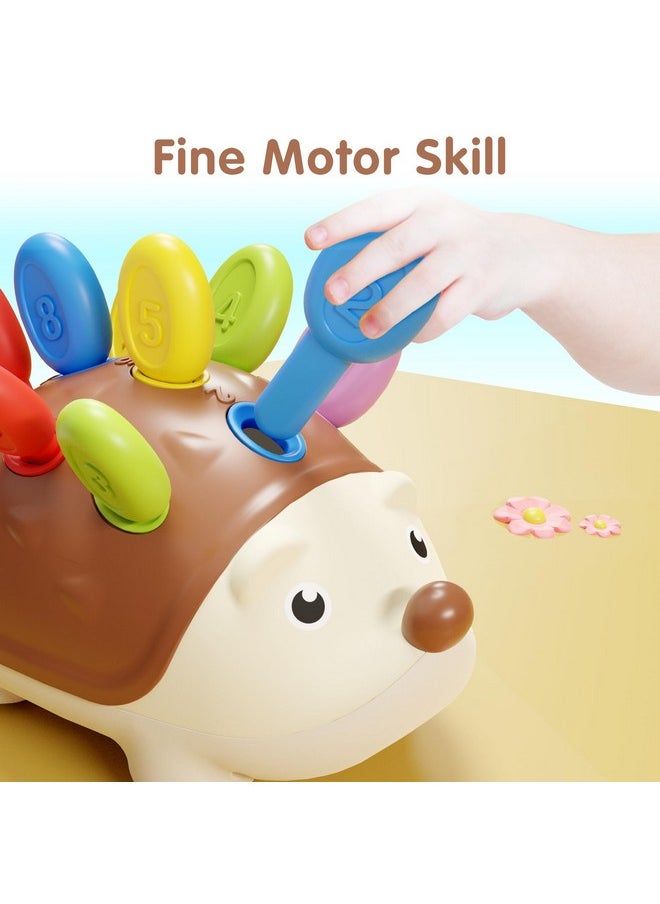iPlay, iLearn - iPlay, iLearn Fine Motor Toys for Toddlers 1-3, Baby Hedgehog Montessorri Learning Set, Educational Counting Sorter Toy, Development Infant Gifts 9 12 18 Month 1 2 3 Year Old Boys Girls Kids Babies - Image 1