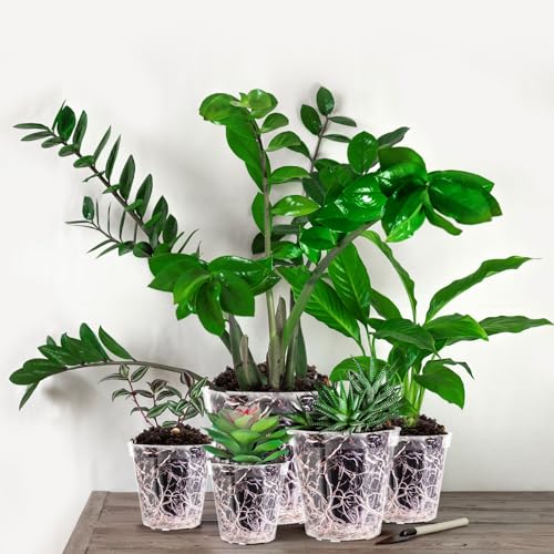 Vesici 6 Pcs 4/5/6/7/8/9 Inch Large Size Clear Nursery Pots Variety Pack Plant Pots with Drainage Holes Planters for Indoor Plants Flexible Transparent Plastic Plant Bottle Succulents - Image 5