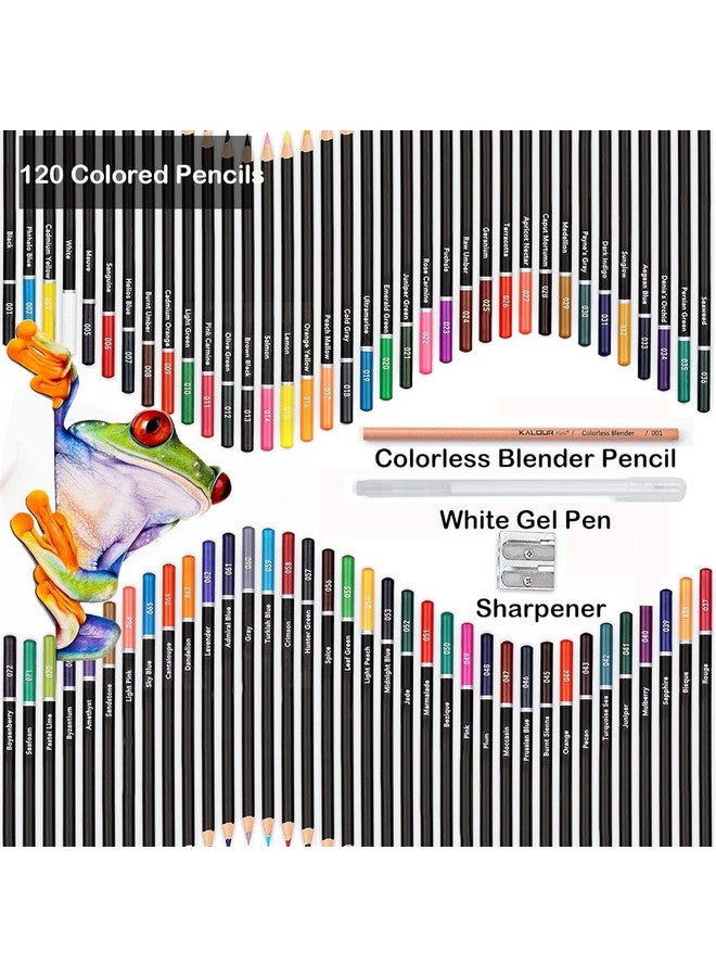 Corslet طقم كورسلت من 123 قلم تلوين متميز بألوان 120 قلم ألوان ناعمة للفنانين مجموعة أقلام ملونة نابضة بالحياة مثالية للرسم والتخطيط والتظليل والتلوين للأشخاص البالغين والمبتدئين والأطفال - Image 2
