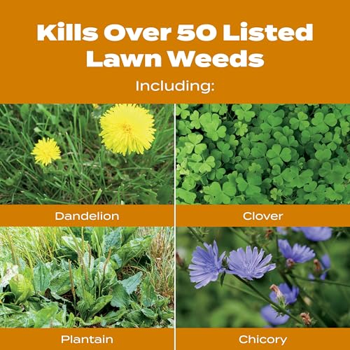 Scotts Turf Builder WinterGuard Fall Weed & Feed5, Weed Killer Plus Fall Fertilizer, 4,000 sq. ft., 11.28 lbs. - Image 4