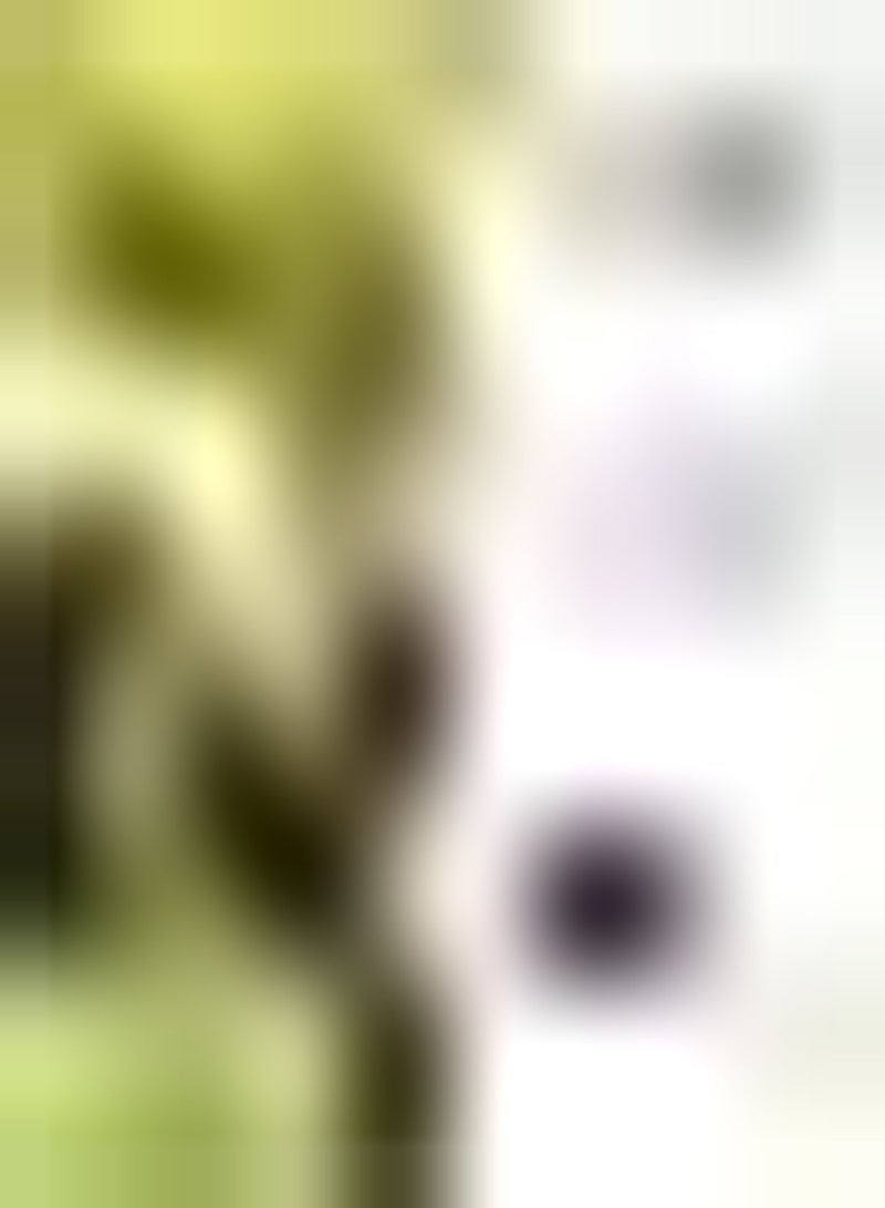 GGOOT Nasturtium Leaves seeds Half Hardy Annual Easy to Grow Your Own Sun Loving Garden Flowering 1x Seed Packet (Aprox 25 seeds) by seeds