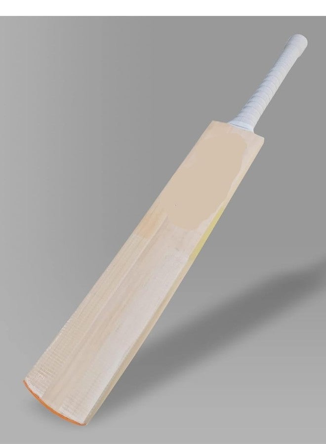 تي آر مضرب كريكيت من خشب الصفصاف الكشميري من شركة TR Sports، حجم كامل، مقبض ناعم، كرة تنس صلبة، للرجال والنساء مع غطاء مضرب مجاني (عبوة من قطعة واحدة) - Image 4