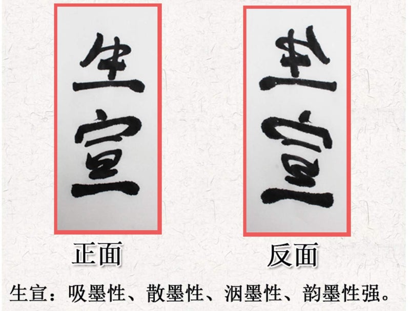 MEGREZ Chinese Japanese Calligraphy Xuan Paper, Rice Paper Sumi Calligraphy Paper for Calligraphy Brush Ink Writing, Painting Without Grids 100 Sheets/Bag,13.4X 26.7inch, Sheng (Raw) Xuan - Image 3