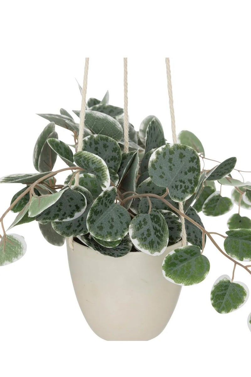 لوفت نبات معلق من مادة البولي بروبيلين، الطول 25 × العرض 15 × الارتفاع 40 سم، أخضر-193710 - Image 2