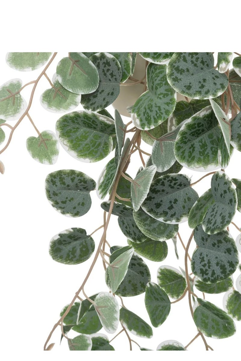 لوفت نبات معلق من مادة البولي بروبيلين، الطول 25 × العرض 15 × الارتفاع 40 سم، أخضر-193710 - Image 4