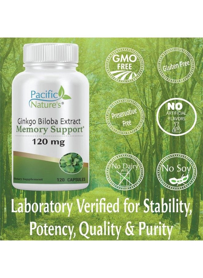 Pacific Nature's - Ginkgo Biloba 120Mg (120 Capsules) For Memory Support Focus And Healthy Brain Function Nongmo Gluten Free Vegetarian - Image 1