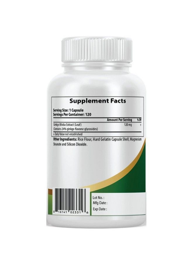 Pacific Nature's - Ginkgo Biloba 120Mg (120 Capsules) For Memory Support Focus And Healthy Brain Function Nongmo Gluten Free Vegetarian - Image 1