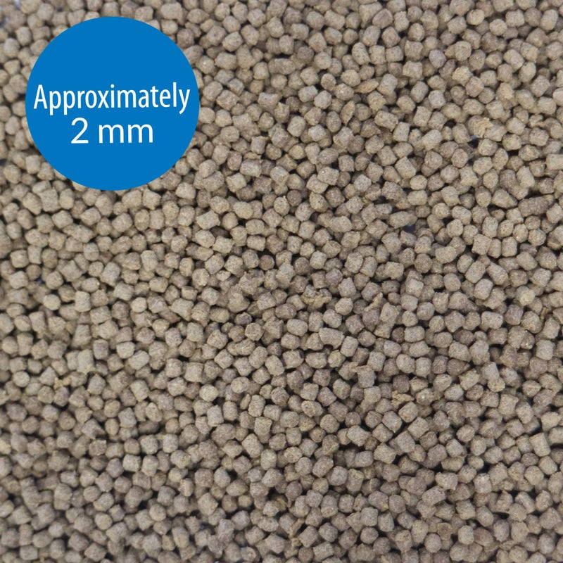 API TROPICAL PELLETS Sinking Pellets Fish Food 4.2-Ounce Container, Medium (823B) - Image 2