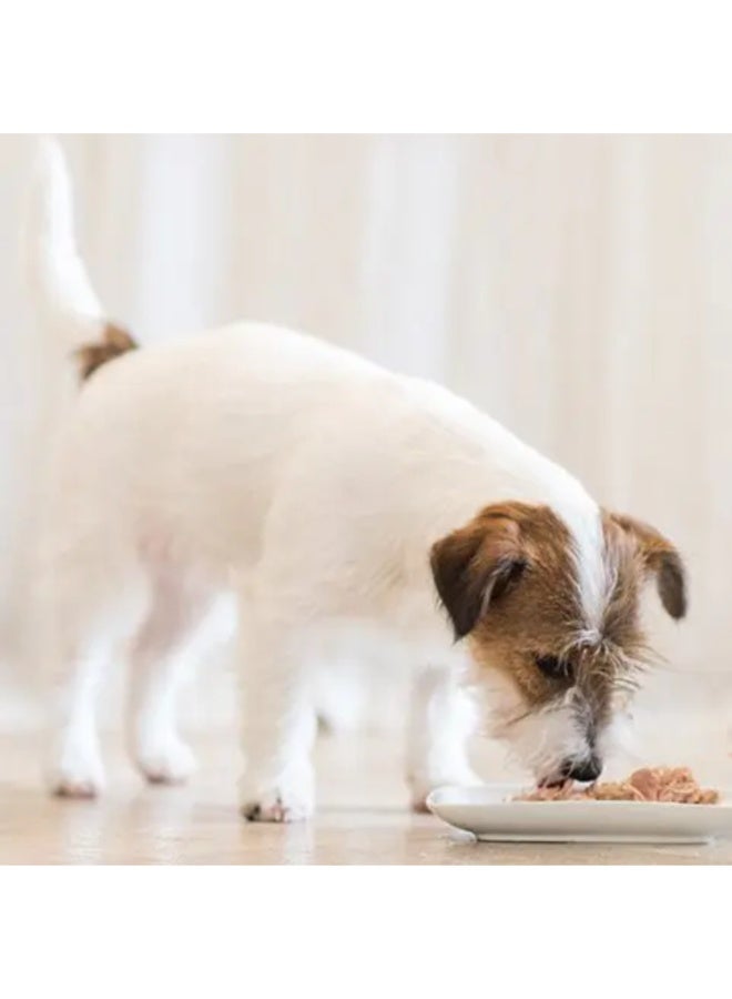 شيسر طعام الكلاب الرطب - شرائح الدجاج مع لحم الضأن [الوزن - 340 جرام] - Image 4