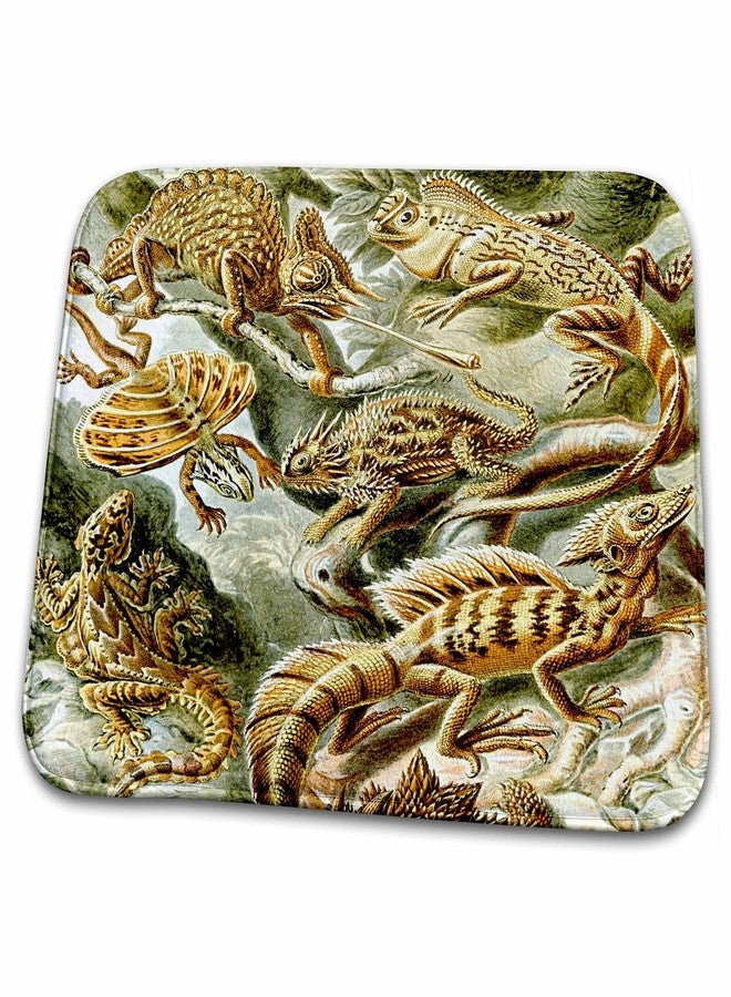 3DROSE Dish Drying Mat - Lizards and Reptiles Art Print - Reptile Breeds and Species - Animals Animals - Image 1