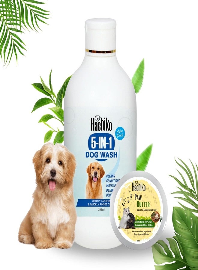 Hachiko Dog 5IN1 Shampoo (250ml)+Paw Butter Moisturizing & Soft Cream(15ml) | Paw Butter Effective to Repair, Soften, Dry, Cracked, Paws & Elbows | Dog Shampoo (265 ml) - Image 1