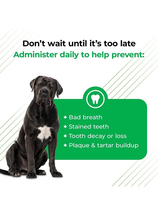 فيتري ساينس لابوراتوريز مسحوق تنظيف أسنان القطط والكلاب من بيري سوبورت، 4.2 أونصة - معطر أنفاس القطط والكلاب - مثبت سريريًا أنه يدعم البلاك والجير - Image 3