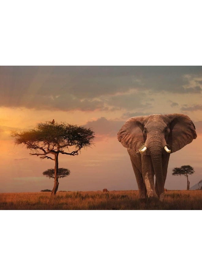 Ravensburger Elephant of the Masai Mara 1000â€‘Piece Jigsaw Puzzle â€“ 70Ã—50 cm Premium Softâ€‘Click Fit & Antiâ€‘Glare Linenâ€‘Textured Paper for Ages 12+ â€“ Majestic Elephant Wildlife Scene | 15159â€‘2 - Image 2
