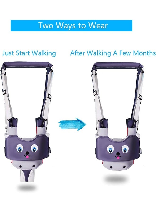IULONEE Baby Walker, Handheld Kids Toddler Walking Harness Helper Assistant Protective Belt Child Activity Walker Adjustable Standing Up Walking Learning Helper for Toddler 7-24 Month (Grey) - Image 2