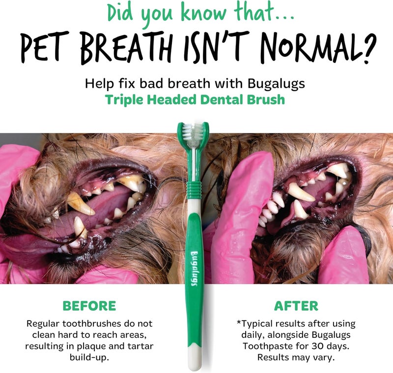 Bugalugs Triple Headed Toothbrush for Dogs & Cats - 2PCS - Image 3