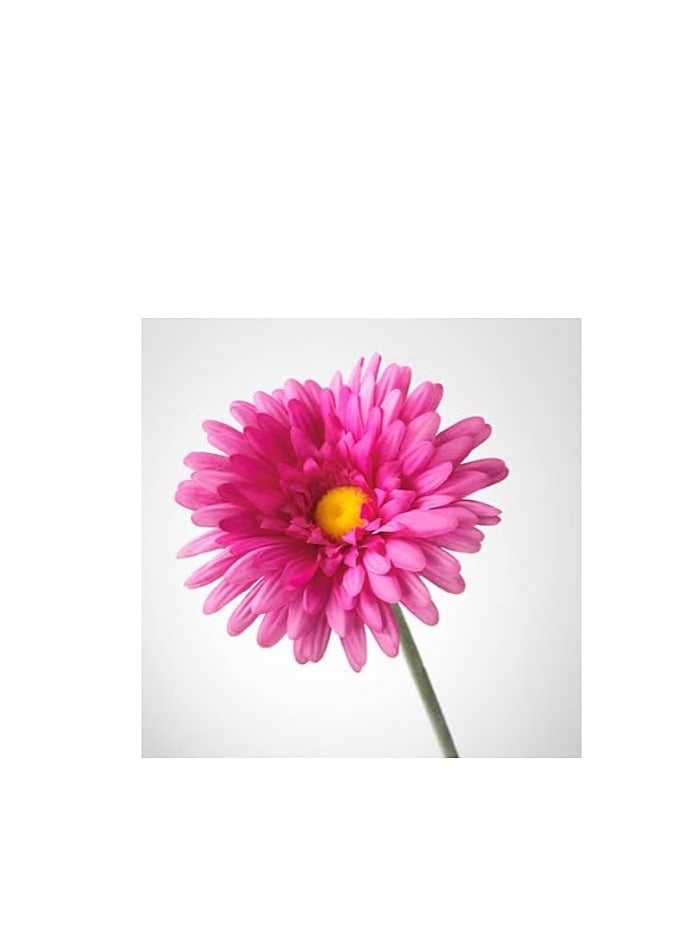 Artificial Flower 131 Gerbera- Color Rose - Image 2