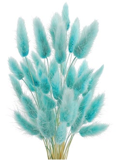 Excefore Natural Bunny Tails Dried Flowers, 70 Pcs Dried Lagurus Ovatus, Dried Pampas Grass Decor for Farmhouse Flower Arrangements Wedding Home Boho Party Decorations(Tiff Blue)  - Image 1