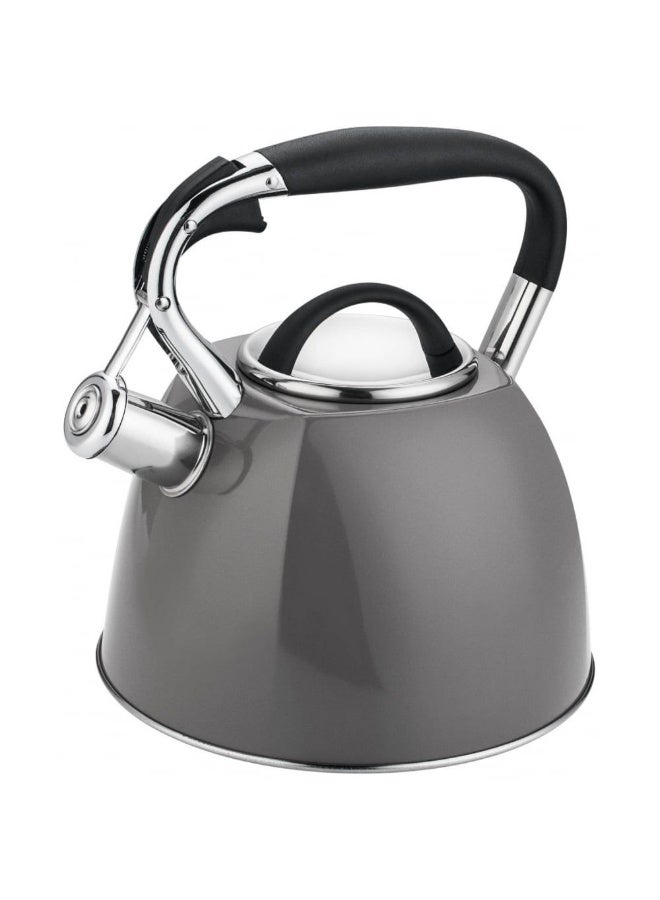 Chef's Delight Chef's Delight Stainless Steel Whistling Kettle Durable High Quality Tea Kettle with Whistle Ideal for Boiling Water Elegant Design Perfect for Kitchen and Daily Use 2.7L Grey 