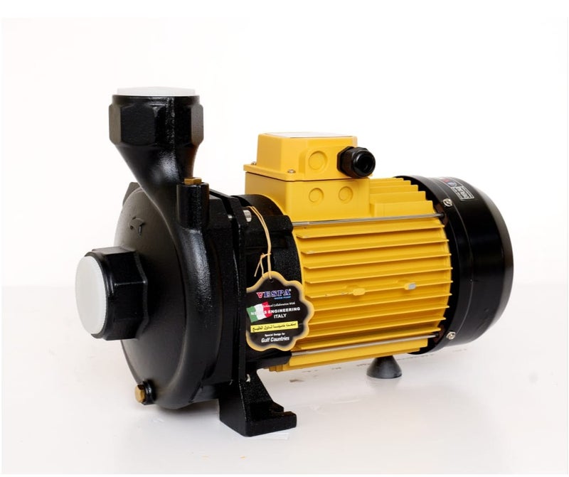 VESPA MAP 300/2S 3HP Monoblock Water Pump SS316 Impeller 35m Head 2x2 Inch Inlet Outlet Single Phase