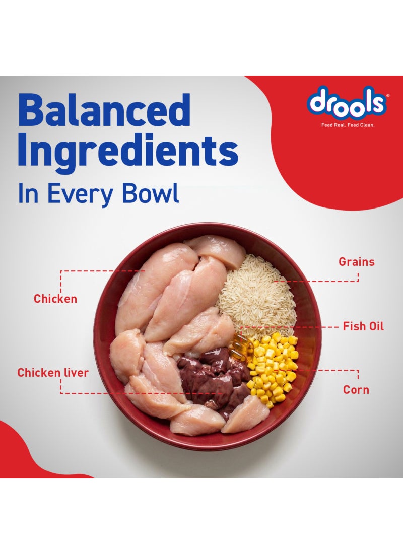 Drools Optimum Adult Dry Dog Food Chicken - Image 4