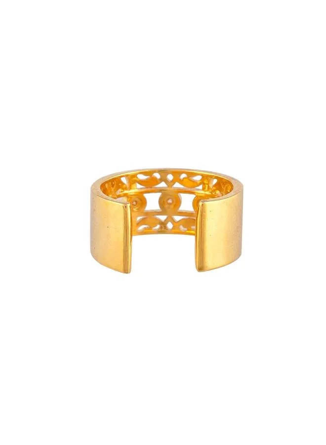 VOYLLA Nazakat Dilruba Band