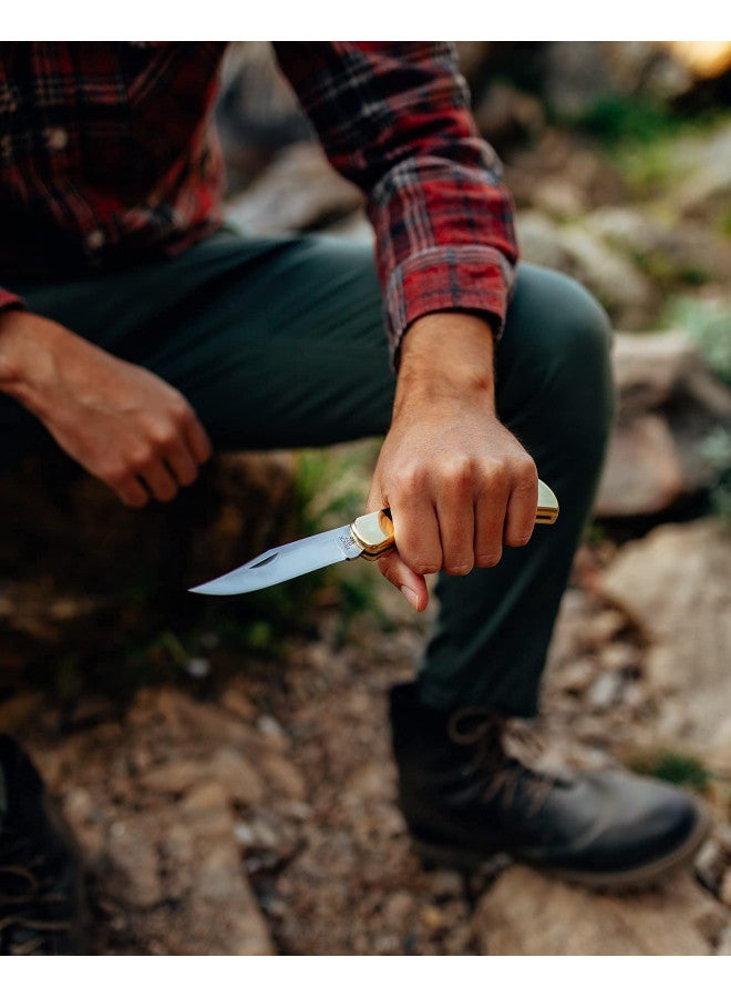 Buck Knives Buck Knives 110 Folding Hunter Lock-back Knife, Brass Bolsters, Ebony Handles, 3-3/4" 420HC Blade with Leather Sheath - Image 4