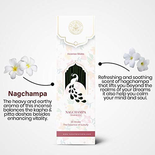 LUXURIATE Naagchampa Organic Natural Herbal Incense Organic Incense, Long-Lasting Incense Stick, Agarbatti for Puja, Prayer | Luxury Premium Incense - Pack of 1 (20 Sticks) - Image 5