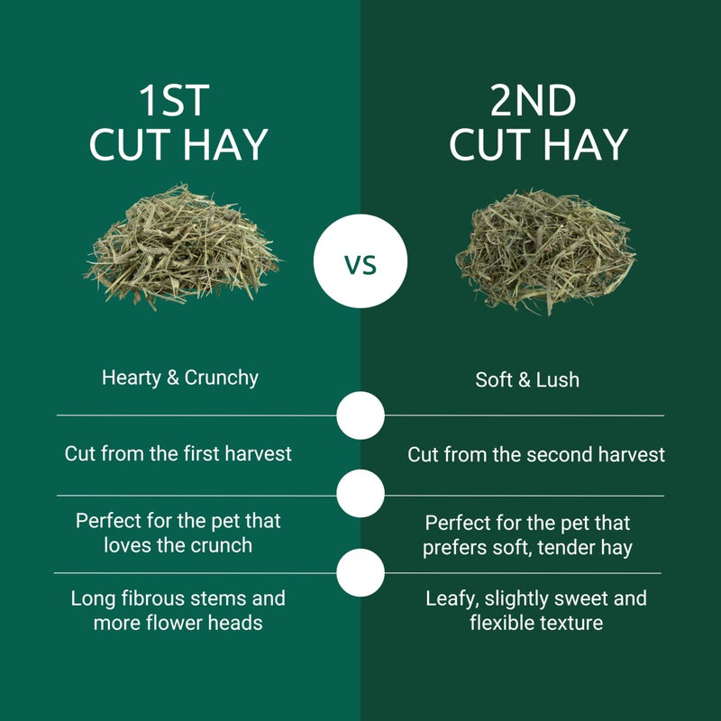 Kaytee First Cut Timothy Hay, High Fiber, Grown Specifically for Small Animals, Rabbits, Guinea Pigs, Chinchillas, 6.5 Pounds - Image 2